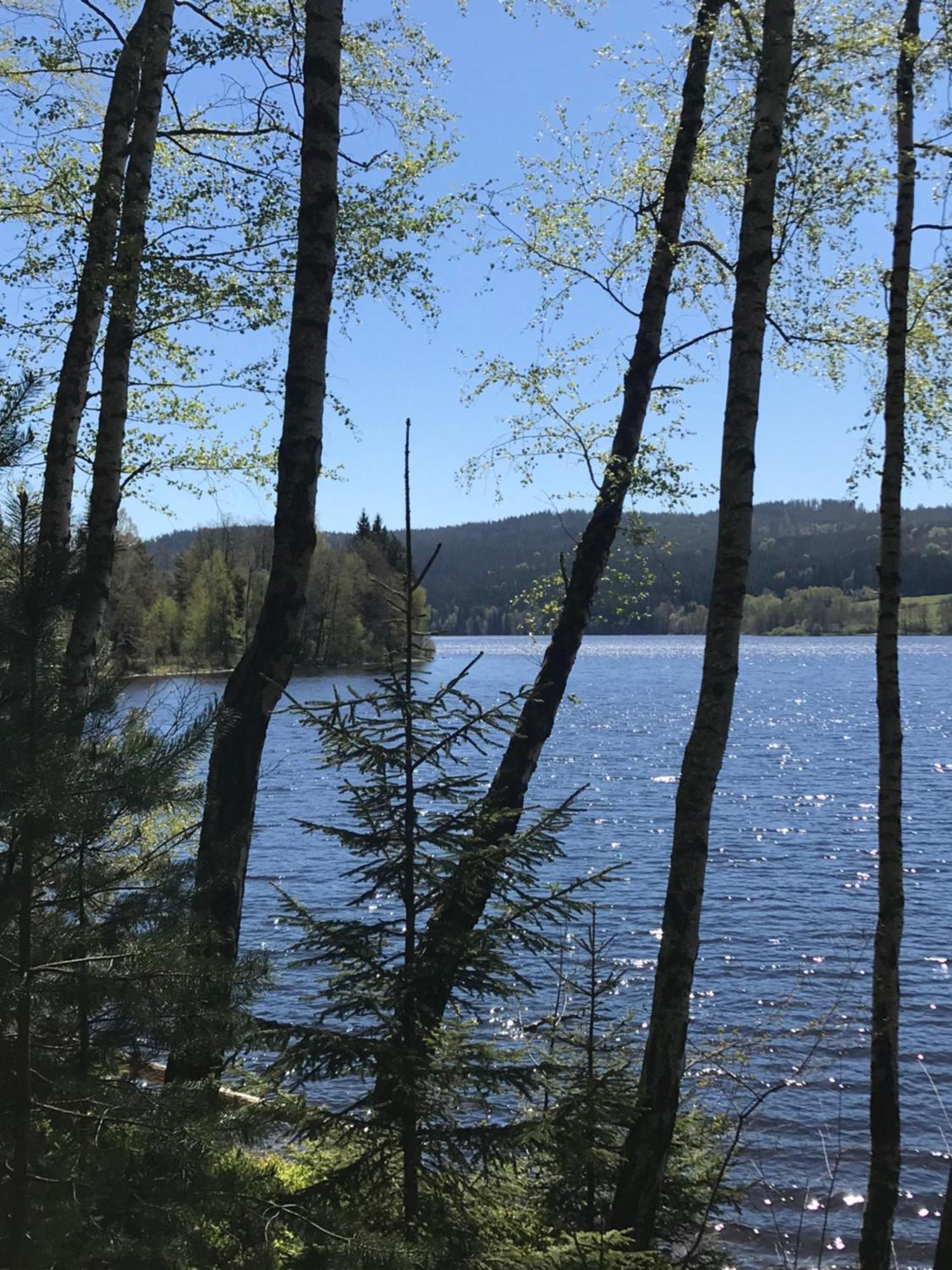 Rodinné ubytování Krauskopfovi Lipno nad Vltavou Exterior foto